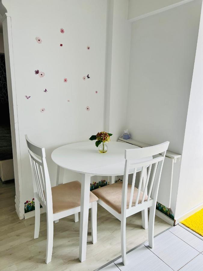 Panoramic M&M Apartment Suczawa Zewnętrze zdjęcie